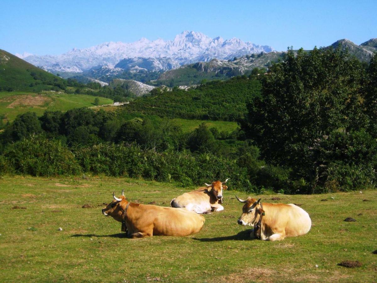 Aptos. Rurales Los Falares De La Abuela Berta (Adults Only) Nieda Εξωτερικό φωτογραφία